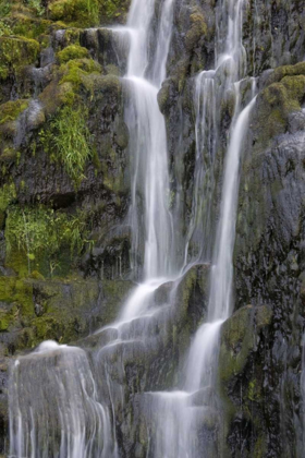 Picture of IRELAND, DONEGAL VIEW OF ASSARNACALLY WATERFALL