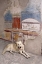 Picture of ITALY, CAMPANIA, POMPEII A STRAY DOG AND FRESCO