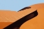 Picture of NAMIBIA, NAMIB-NAUKLUFT PARK SAND DUNE ABSTRACT