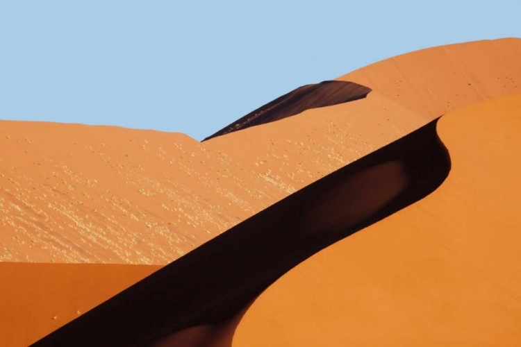 Picture of NAMIBIA, NAMIB-NAUKLUFT PARK SAND DUNE ABSTRACT