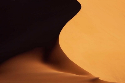 Picture of NAMIBIA, NAMIB-NAUKLUFT PARK SAND DUNE ABSTRACT