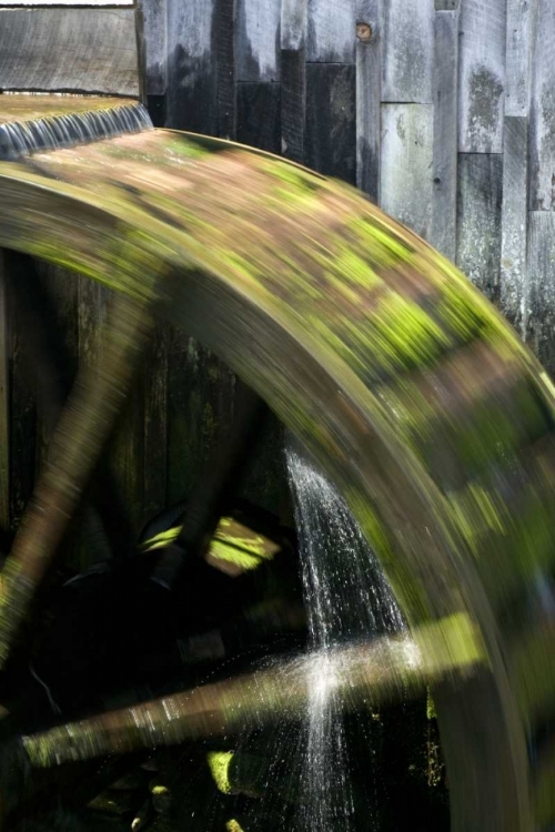 Picture of TN, CADES COVE GRIST MILL WATER WHEEL IN MOTION