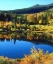 Picture of CA, SIERRA NEVADA BEAVER POND IN AUTUMN