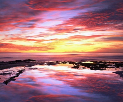 Picture of CA, TIDE POOLS AT SUNSET AT SUNSET CLIFFS