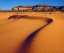 Picture of USA, UTAH CORAL PINK SAND DUNES AT SUNSET