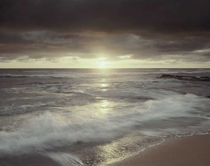 Picture of CALIFORNIA, SAN DIEGO SUNSET CLIFFS BEACH