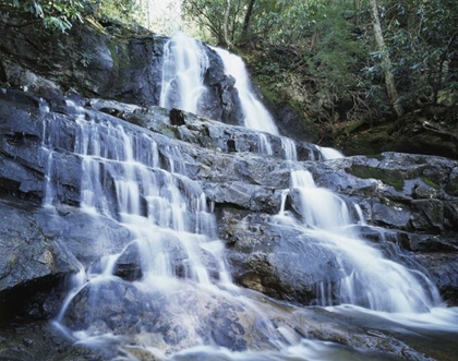Picture of NORTH CAROLINA, GREAT SMOKY MTS WATERFALL