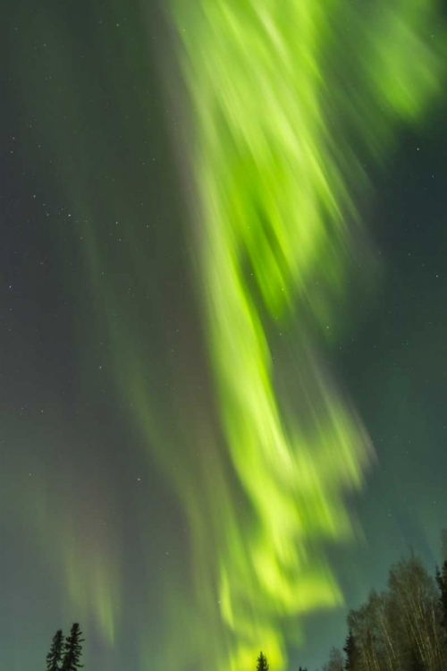 Picture of ALASKA, CENTRAL ALASKA, AURORA, NORTHERN LIGHTS