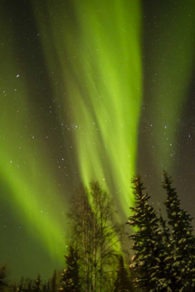 Picture of ALASKA, CENTRAL ALASKA, AURORA, NORTHERN LIGHTS