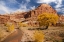 Picture of UTAH, CAPITOL REEF CREEK AND AUTUMN LANDSCAPE