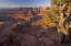 Picture of UTAH, DEAD HORSE POINT SP SUNRISE ON THE PARK