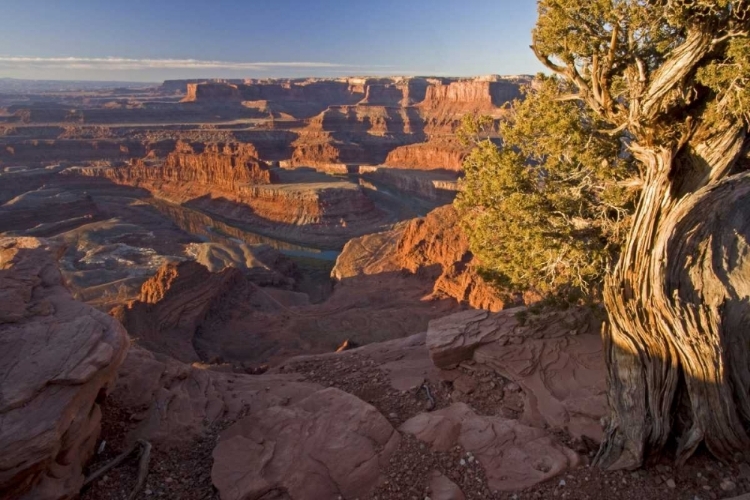 Picture of UTAH, DEAD HORSE POINT SP SUNRISE ON THE PARK