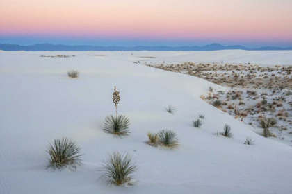 Picture of NEW MEXICO, WHITE SANDS NM SUNSET OVER DESERT