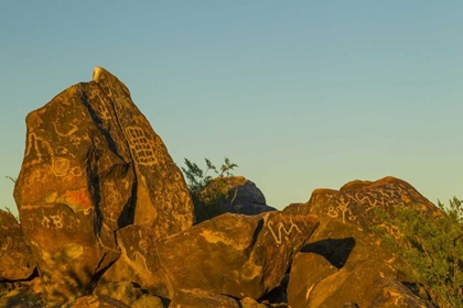 Picture of ARIZONA, PAINTED ROCKS ROCKS WITH PETROGLYPHS