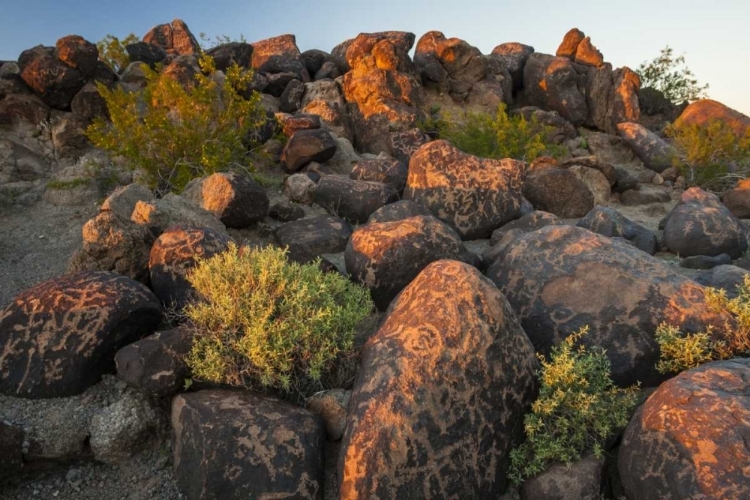 Picture of ARIZONA, PAINTED ROCKS ROCKS WITH PETROGLYPHS