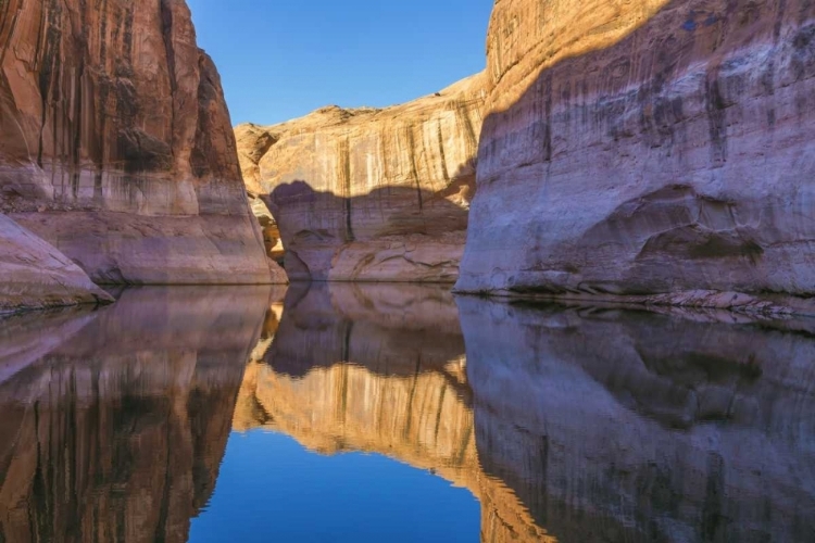 Picture of UTAH, GLEN CANYON ABSTRACT REFLECTION SANDSTONE