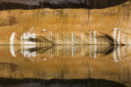 Picture of UTAH, GLEN CANYON ABSTRACT REFLECTION SANDSTONE