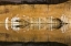 Picture of UTAH, GLEN CANYON ABSTRACT REFLECTION SANDSTONE