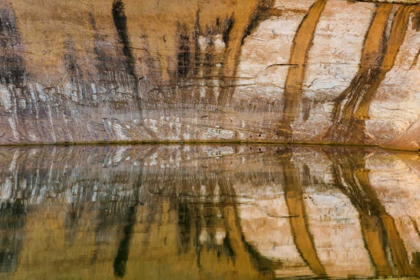 Picture of UTAH, GLEN CANYON ABSTRACT REFLECTION SANDSTONE