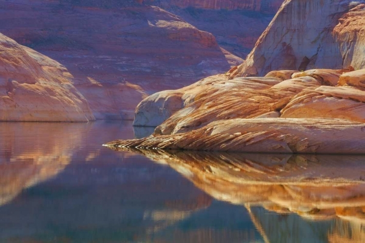 Picture of UTAH, GLEN CANYON ABSTRACT REFLECTION SANDSTONE