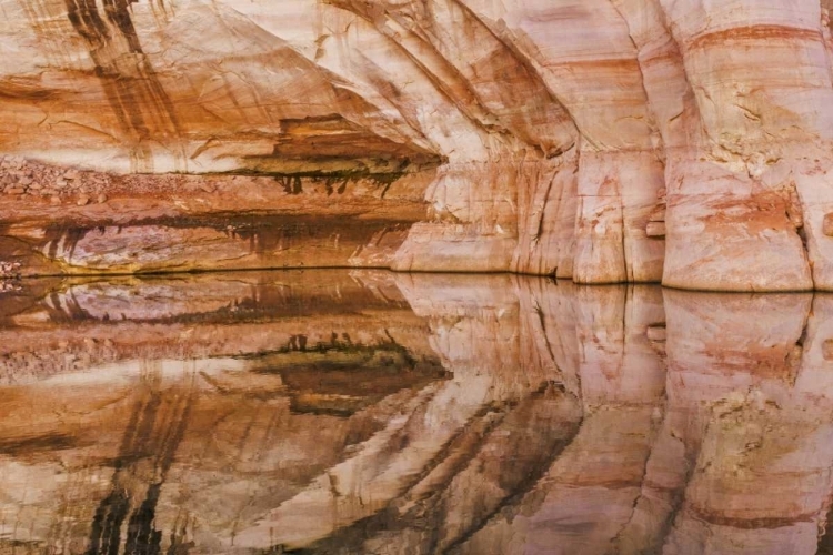 Picture of UTAH, GLEN CANYON ABSTRACT REFLECTION SANDSTONE