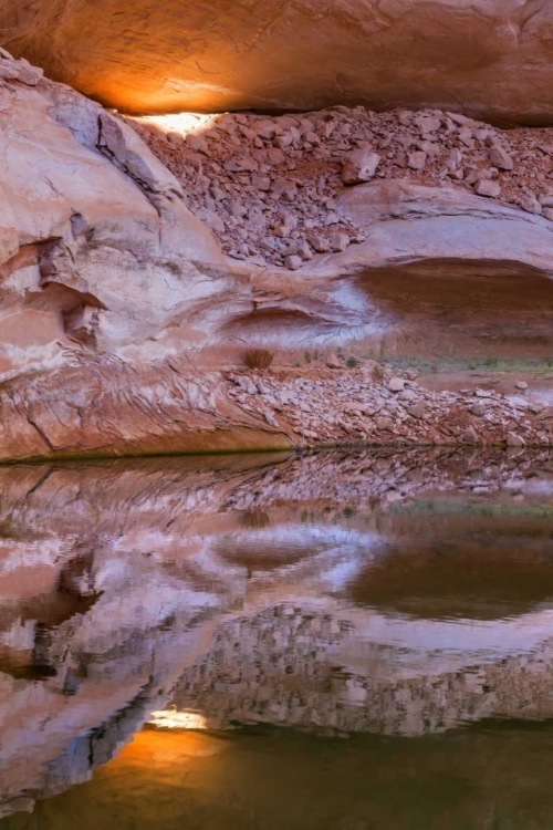 Picture of UTAH, GLEN CANYON ABSTRACT REFLECTION SANDSTONE