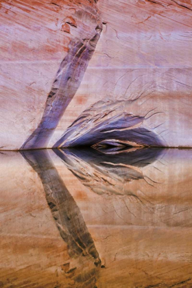 Picture of UTAH, GLEN CANYON ABSTRACT REFLECTION SANDSTONE