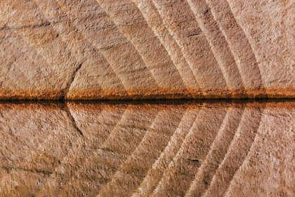 Picture of UTAH, GLEN CANYON ABSTRACT REFLECTION SANDSTONE