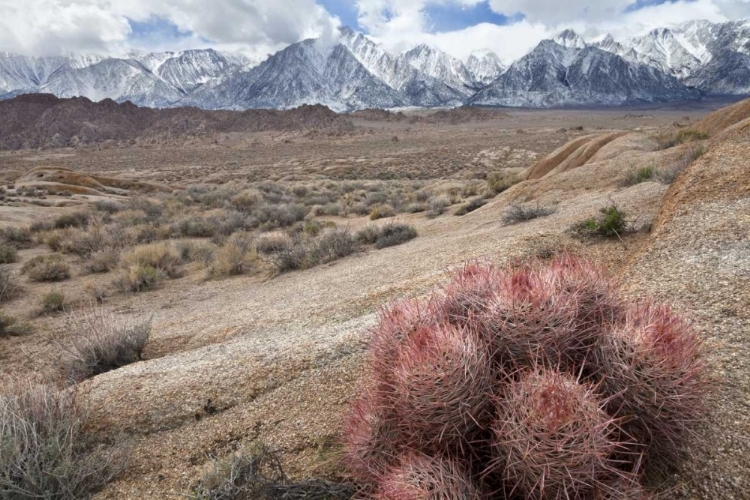 Picture of CALIFORNIA, LONE PINE ALABAMA HILLS AND SIERRAS