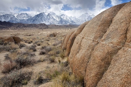 Picture of CALIFORNIA, LONE PINE ALABAMA HILLS AND SIERRAS
