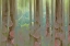 Picture of WASHINGTON, SEABECK COLLAGE OF OXALIS AND TREES