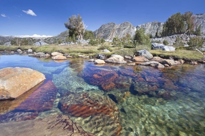 Picture of CALIFORNIA, INYO NF CLEAR STREAM BY GARNET LAKE