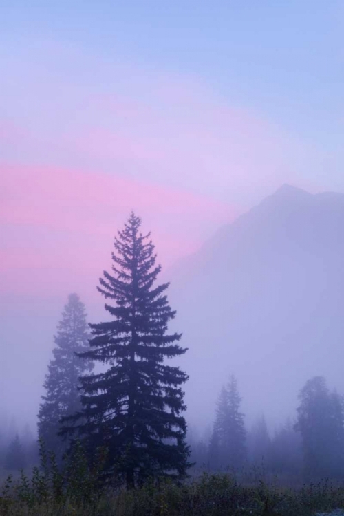 Picture of CANADA, BC, MT ROBSON PP FOGGY SUNRISE SCENIC