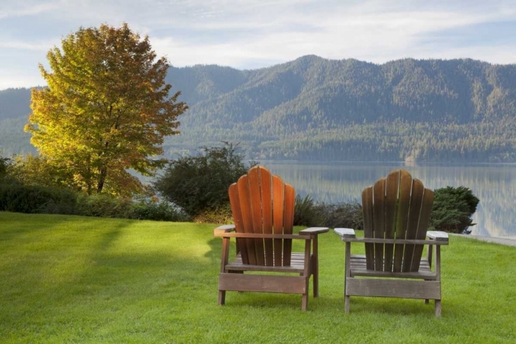 Picture of WA, QUINAULT LANDSCAPE VIEW FROM QUINAULT LODGE