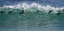 Picture of SOUTH AFRICA SEALS SURFING IN WAVES