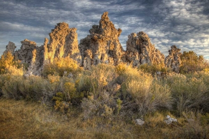 Picture of CALIFORNIA, MONO LAKE SUNRISE ON TUFAS AND GRASS