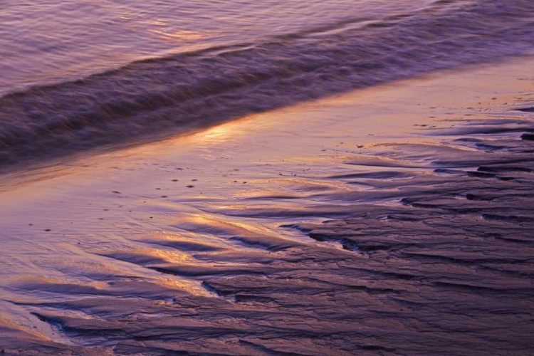 Picture of ME, PHIPPSBURG SUNRISE ON POPHAM BEACH