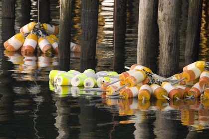 Picture of MAINE BUOYS FLOATING NEXT TO A FISHING PIER