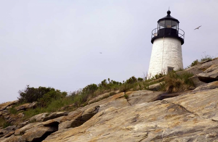 Picture of ME, PEMAQUID LIGHTHOUSE OVERLOOKS COASTLINE