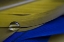 Picture of ME, HARPSWELL WATER DROP ON PARROT FEATHERS