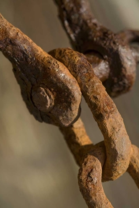 Picture of USA, MAINE, HARPSWELL RUSTED CHAIN ON A PIER