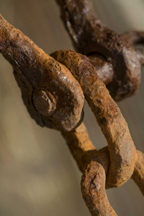 Picture of USA, MAINE, HARPSWELL RUSTED CHAIN ON A PIER