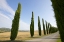 Picture of ITALY, TUSCANY ROAD AND CYPRESS TREES
