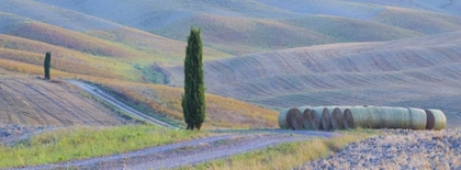 Picture of ITALY, TUSCANY HAY BALES AND FARMLAND
