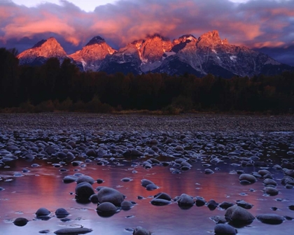 Picture of WY, GRAND TETONS AND THE SNAKE RIVER AT SUNRISE