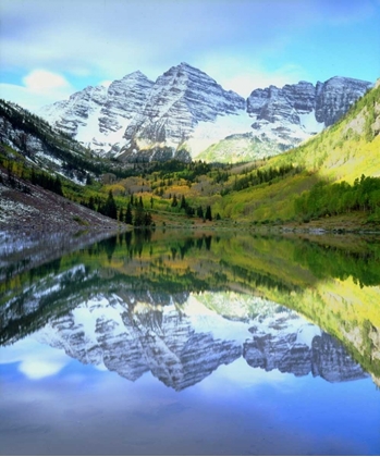 Picture of CO, ROCKY MTS, MAROON LAKE, MAROON BELL FLOWERS