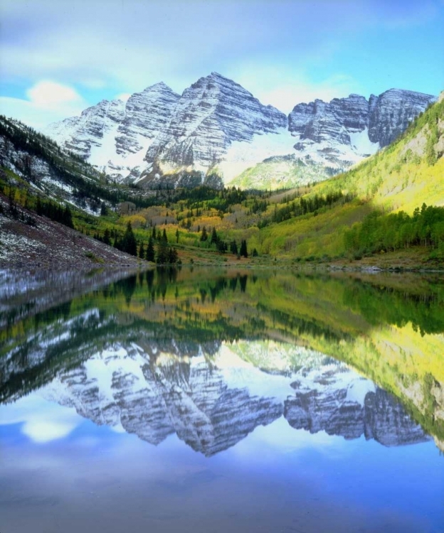 Picture of CO, ROCKY MTS, MAROON LAKE, MAROON BELL FLOWERS