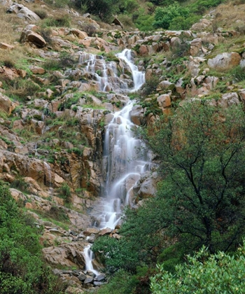 Picture of CA, SAN DIEGO, MISSION TRAILS PARK A WATERFALL