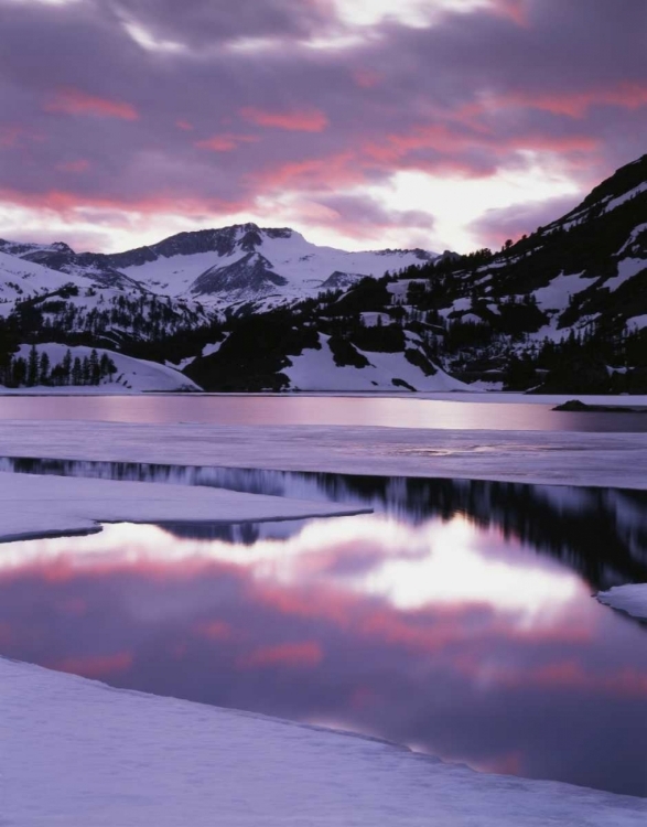 Picture of CA, SIERRA NEVADA MTS REFLECTING IN ELLERY LAKE