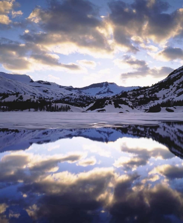 Picture of CA, SIERRA NEVADA MTS REFLECTING IN ELLERY LAKE